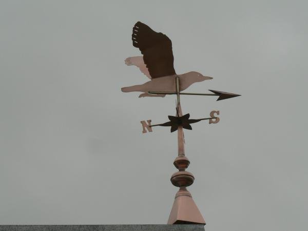 girouette cuivre la mouette rieuse
